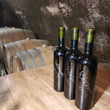 Grand Cru 3. Vendeghaz Villa Hegymagas Dış mekan fotoğraf
