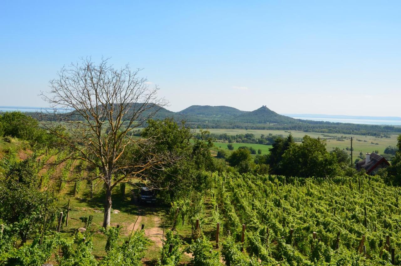 Grand Cru 3. Vendeghaz Villa Hegymagas Dış mekan fotoğraf