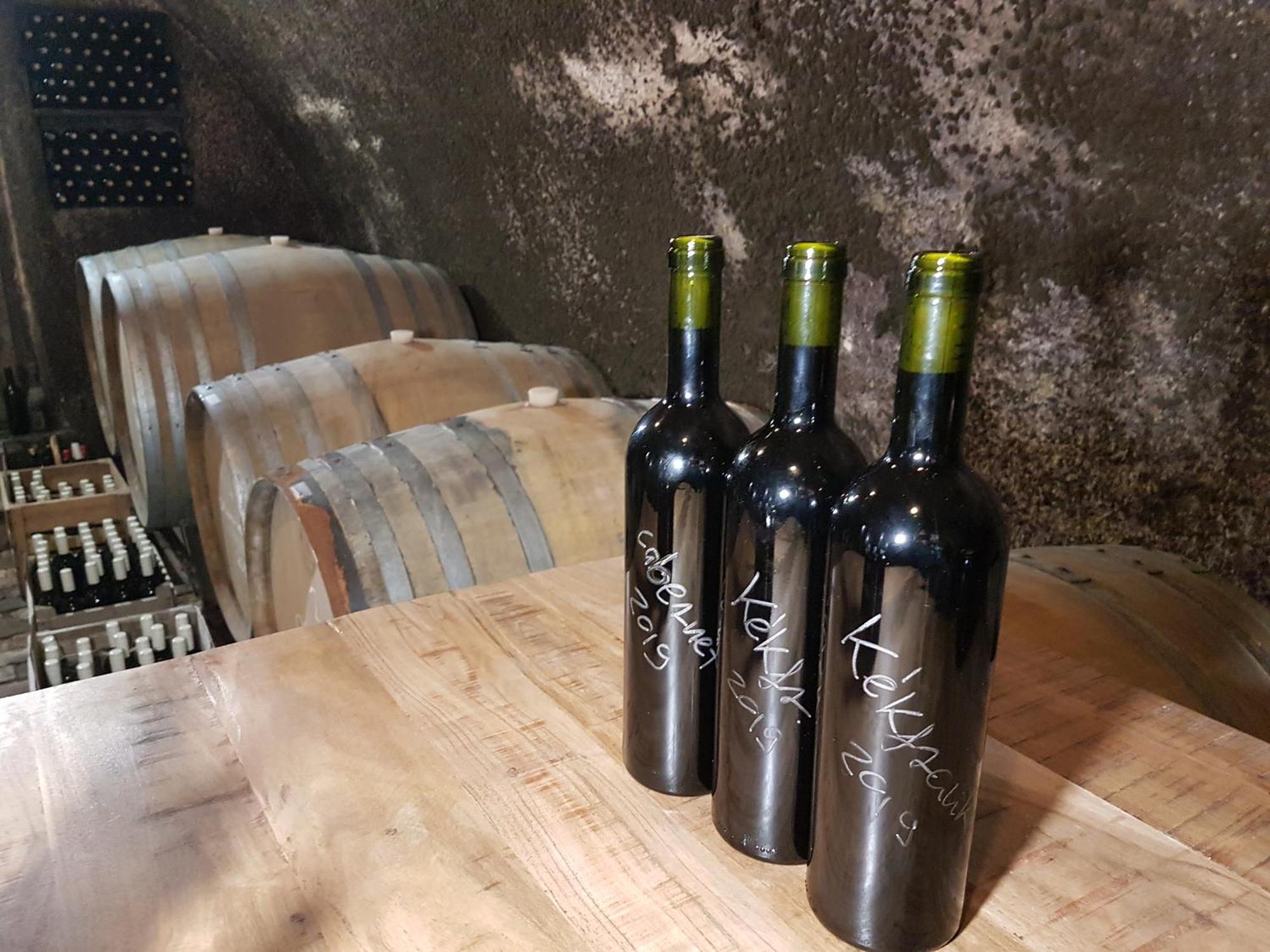 Grand Cru 3. Vendeghaz Villa Hegymagas Dış mekan fotoğraf