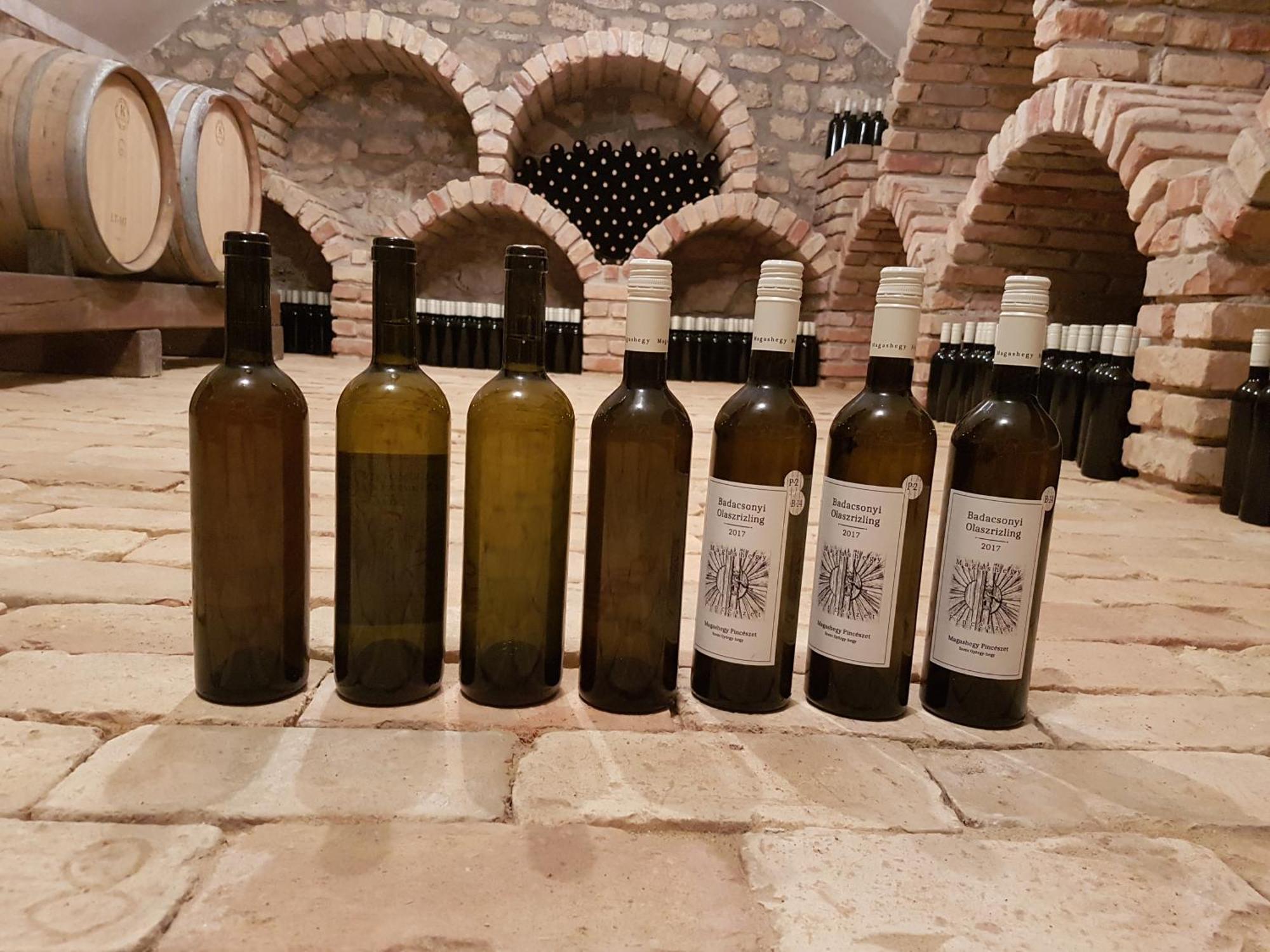 Grand Cru 3. Vendeghaz Villa Hegymagas Dış mekan fotoğraf