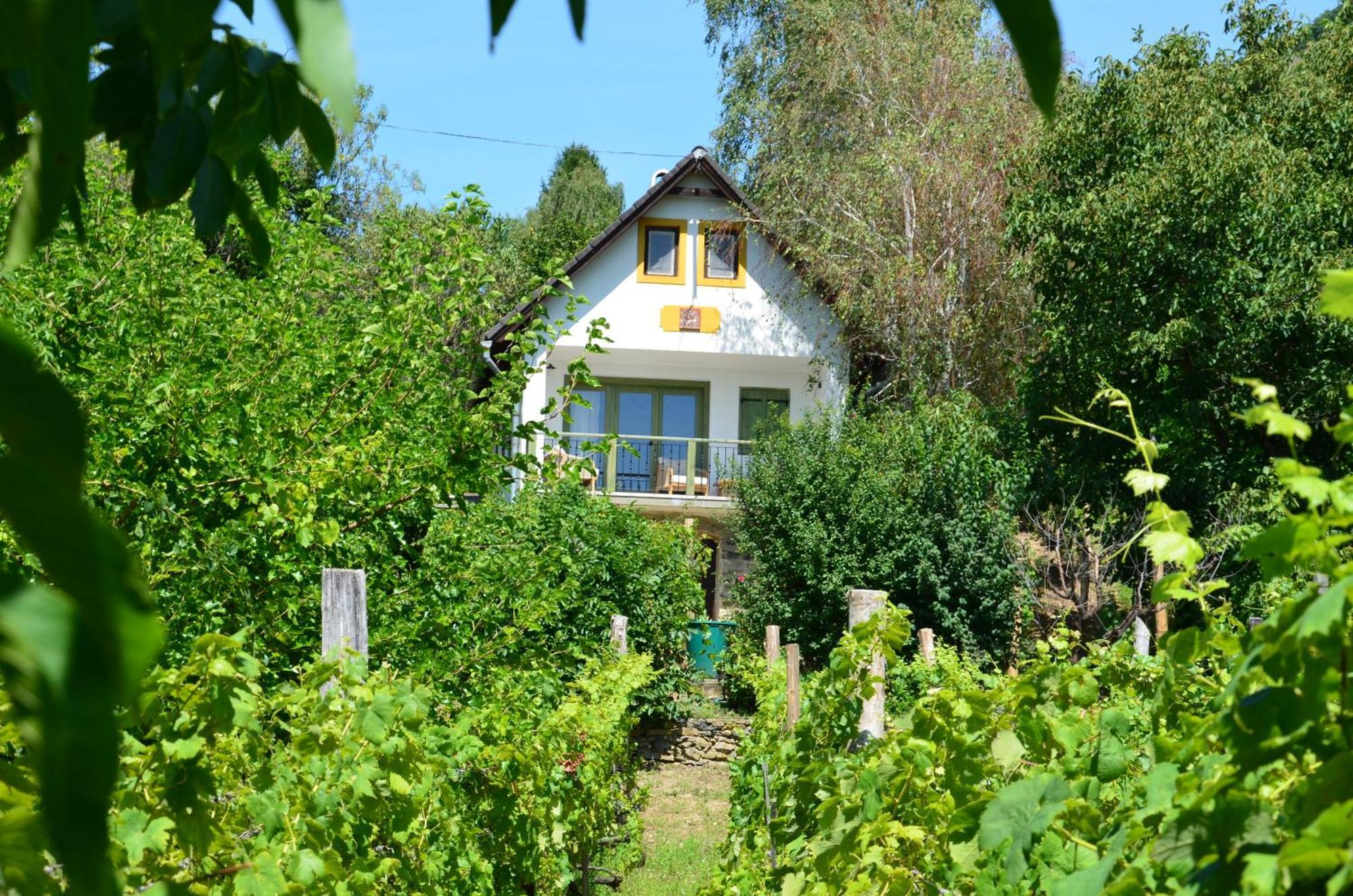 Grand Cru 3. Vendeghaz Villa Hegymagas Dış mekan fotoğraf