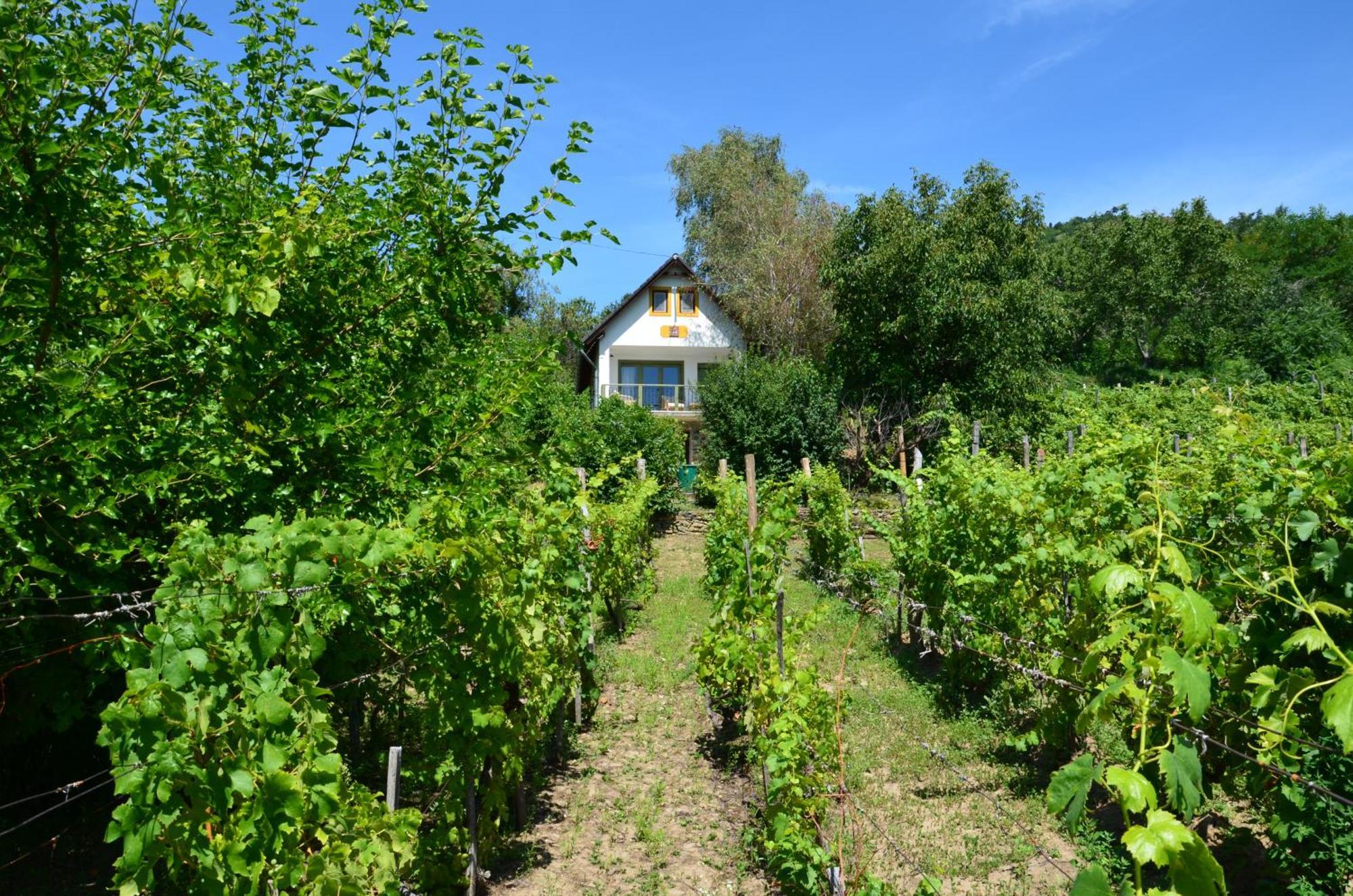 Grand Cru 3. Vendeghaz Villa Hegymagas Dış mekan fotoğraf